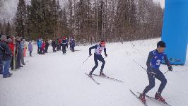 Динамовская лыжня - 2015