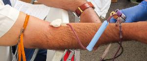 Сдача крови на донорство