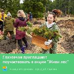 Глазовчан приглашают поучаствовать в акции "Живи лес"